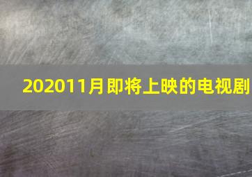 202011月即将上映的电视剧