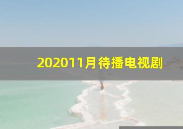 202011月待播电视剧