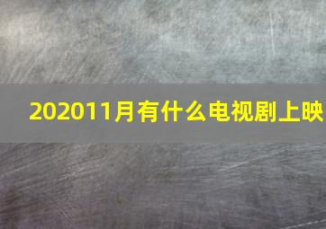 202011月有什么电视剧上映