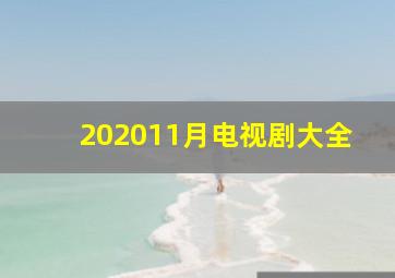 202011月电视剧大全