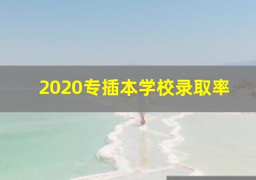 2020专插本学校录取率