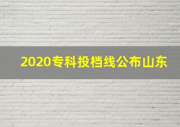 2020专科投档线公布山东