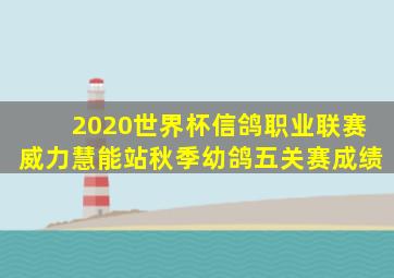 2020世界杯信鸽职业联赛威力慧能站秋季幼鸽五关赛成绩