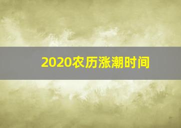 2020农历涨潮时间