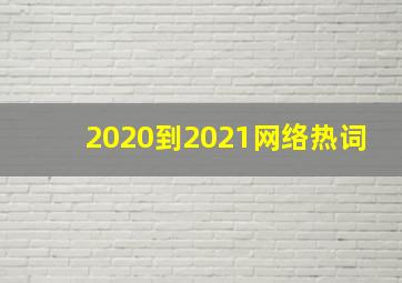 2020到2021网络热词