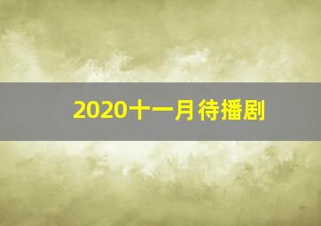 2020十一月待播剧