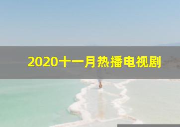 2020十一月热播电视剧