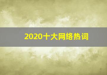 2020十大网络热词