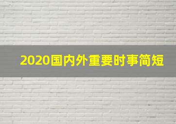 2020国内外重要时事简短