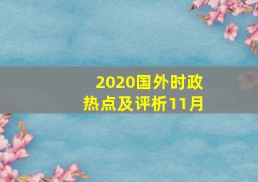 2020国外时政热点及评析11月