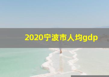 2020宁波市人均gdp