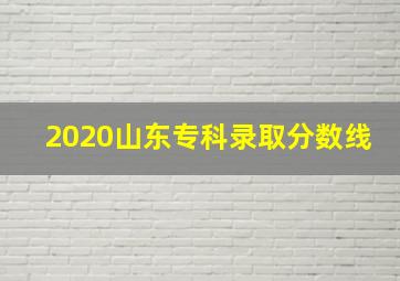 2020山东专科录取分数线