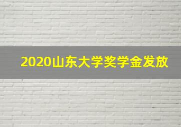 2020山东大学奖学金发放