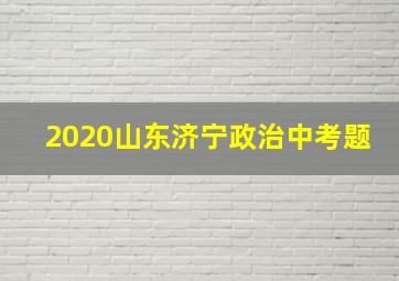 2020山东济宁政治中考题