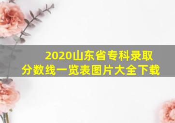 2020山东省专科录取分数线一览表图片大全下载