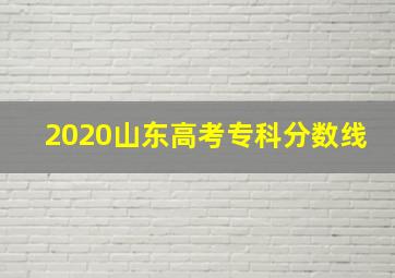 2020山东高考专科分数线