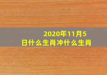 2020年11月5日什么生肖冲什么生肖