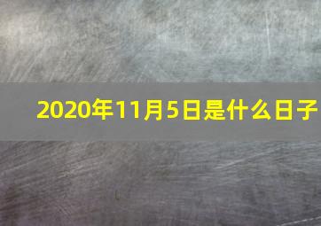 2020年11月5日是什么日子