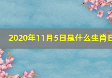 2020年11月5日是什么生肖日