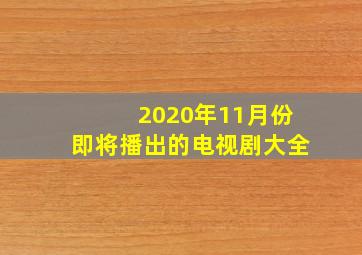 2020年11月份即将播出的电视剧大全