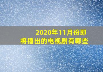 2020年11月份即将播出的电视剧有哪些