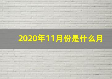 2020年11月份是什么月