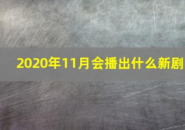 2020年11月会播出什么新剧