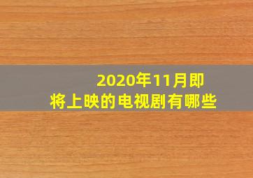 2020年11月即将上映的电视剧有哪些