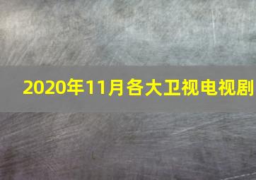 2020年11月各大卫视电视剧