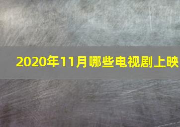 2020年11月哪些电视剧上映