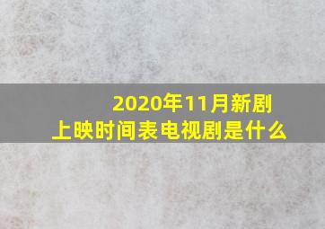 2020年11月新剧上映时间表电视剧是什么