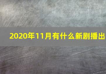 2020年11月有什么新剧播出