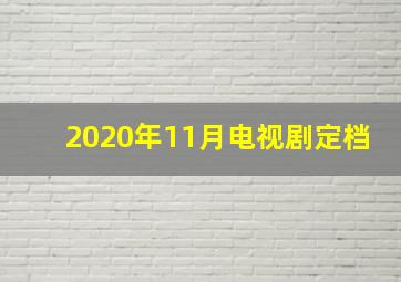 2020年11月电视剧定档