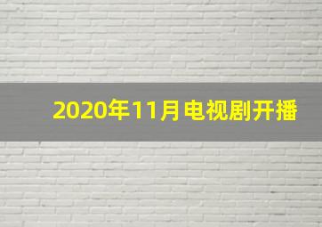 2020年11月电视剧开播