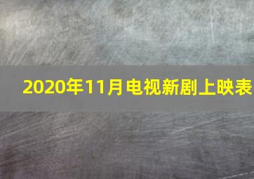 2020年11月电视新剧上映表