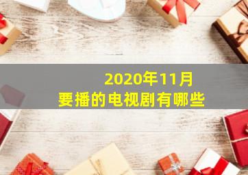 2020年11月要播的电视剧有哪些