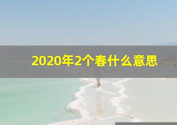 2020年2个春什么意思