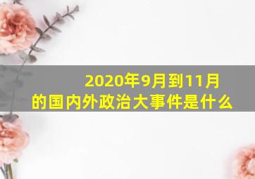 2020年9月到11月的国内外政治大事件是什么