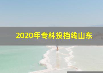 2020年专科投档线山东