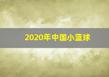 2020年中国小篮球