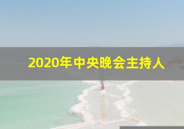 2020年中央晚会主持人