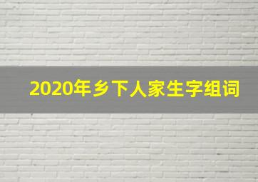 2020年乡下人家生字组词