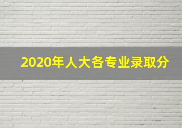 2020年人大各专业录取分