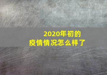 2020年初的疫情情况怎么样了