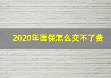 2020年医保怎么交不了费