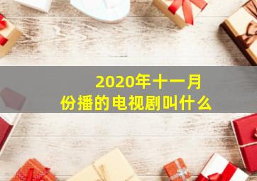 2020年十一月份播的电视剧叫什么