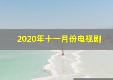 2020年十一月份电视剧