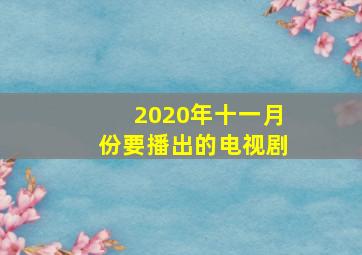 2020年十一月份要播出的电视剧