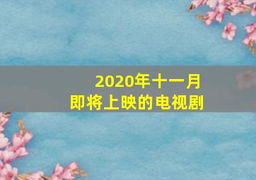 2020年十一月即将上映的电视剧