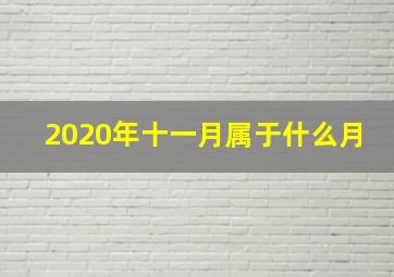 2020年十一月属于什么月